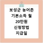 보성군 농어촌 기본소득 월 20만원 신청방법 지급일 사용처 총정리