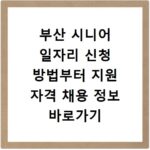 부산 시니어 일자리 신청 방법부터 지원 자격 채용 정보 바로가기