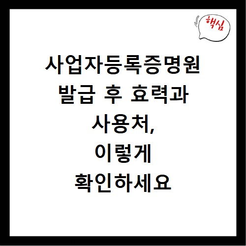 사업자등록증명원 발급 후 효력과 사용처, 이렇게 확인하세요