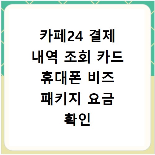 카페24 결제 내역 조회 카드 휴대폰 비즈 패키지 요금 확인