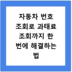 자동차 번호 조회로 과태료 조회까지 한 번에 해결하는 법