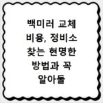 백미러 교체 비용, 정비소 찾는 현명한 방법과 꼭 알아둘 점
