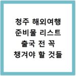 청주 해외여행 준비물 리스트 출국 전 꼭 챙겨야 할 것들