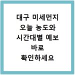 대구 미세먼지 오늘 농도와 시간대별 예보 바로 확인하세요