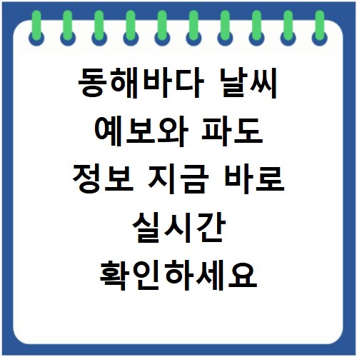 동해바다 날씨 예보와 파도 정보 지금 바로 실시간 확인하세요