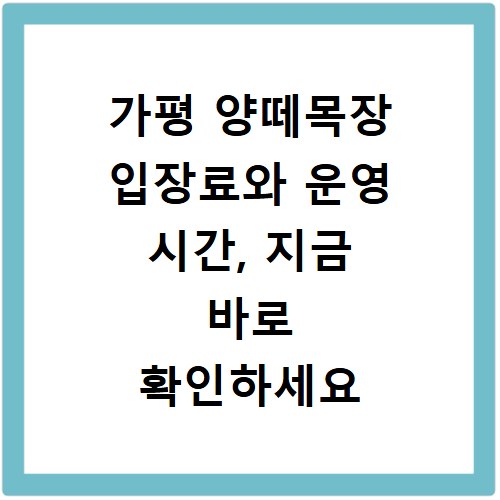 가평 양떼목장 입장료와 운영 시간, 지금 바로 확인하세요