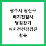 광주시 광산구 배치전검사 병원찾기 배치전건강검진 항목 비용조회