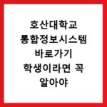 호산대학교 통합정보시스템 바로가기 학생이라면 꼭 알아야 할 꿀팁