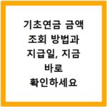 기초연금 금액 조회 방법과 지급일, 지금 바로 확인하세요