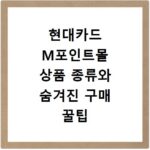 현대카드 M포인트몰 상품 종류와 숨겨진 구매 꿀팁 대공개