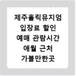 제주홀릭뮤지엄 입장료 할인 예매 관람시간 애월 근처 가볼만한곳