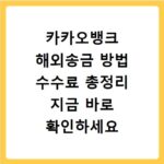 카카오뱅크 해외송금 방법 수수료 총정리 지금 바로 확인하세요