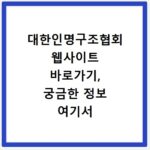 대한인명구조협회 웹사이트 바로가기, 궁금한 정보 여기서 확인하세요