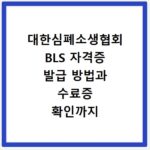대한심폐소생협회 BLS 자격증 발급 방법과 수료증 확인까지 한 번에