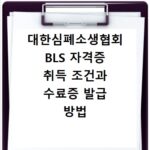 대한심폐소생협회 BLS 자격증 취득 조건과 수료증 발급 방법