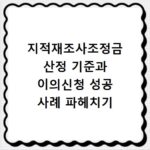 지적재조사조정금 산정 기준과 이의신청 성공 사례 파헤치기
