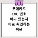롯데카드 CVC 번호 어디 있는지 바로 확인하는 쉬운 방법