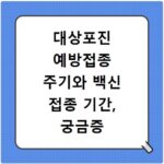 대상포진 예방접종 주기와 백신 접종 기간, 궁금증 총정리