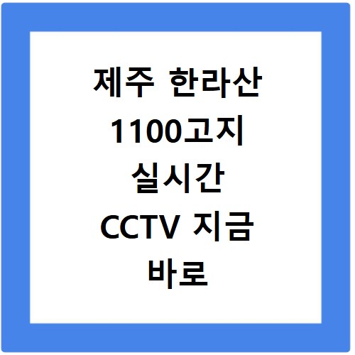 성필립보생태마을 홈페이지에서 찾은 특별한 정보들 지금 확인하세요