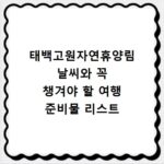 태백고원자연휴양림 날씨와 꼭 챙겨야 할 여행 준비물 리스트