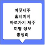 비짓제주 홈페이지 바로가기 제주 여행 정보 총정리