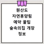 원산도 자연휴양림 예약 꿀팁 숲속의집 개장 정보 보령 위치까지
