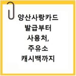 양산사랑카드 발급부터 사용처, 주유소 캐시백까지 앱으로 한눈에
