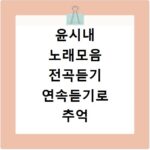 윤시내 노래모음 전곡듣기 연속듣기로 추억 속 명곡을 다시 만나봐