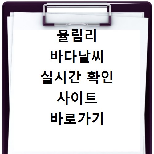율림리 바다날씨 실시간 확인 사이트 바로가기 지금 바로 클릭
