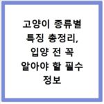 고양이 종류별 특징 총정리, 입양 전 꼭 알아야 할 필수 정보