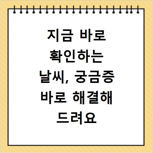 지금 바로 확인하는 날씨, 궁금증 바로 해결해 드려요
