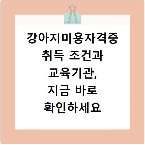 강아지미용자격증 취득 조건과 교육기관, 지금 바로 확인하세요