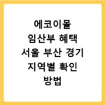 에코이몰 임산부 혜택 서울 부산 경기 지역별 확인 방법