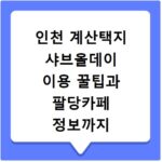 인천 계산택지 샤브올데이 이용 꿀팁과 팔당카페 정보까지