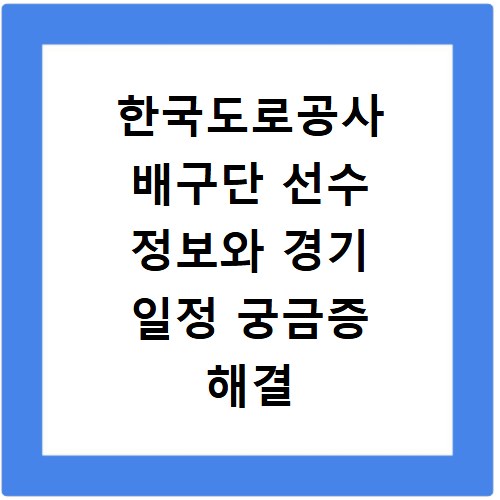 한국도로공사 배구단 선수 정보와 경기 일정 궁금증 해결