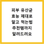 피부 유산균 효능 제대로 알고 먹는법 추천템까지 알려드려요