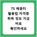 TS 배움터 활용법 자격증 취득 정보 지금 바로 확인하세요