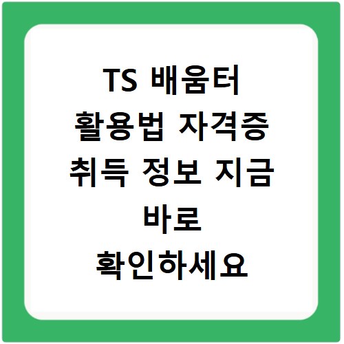 TS 배움터 활용법 자격증 취득 정보 지금 바로 확인하세요