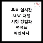 무료 실시간 MBC 채널 시청 방법과 편성표 확인까지 한 번에